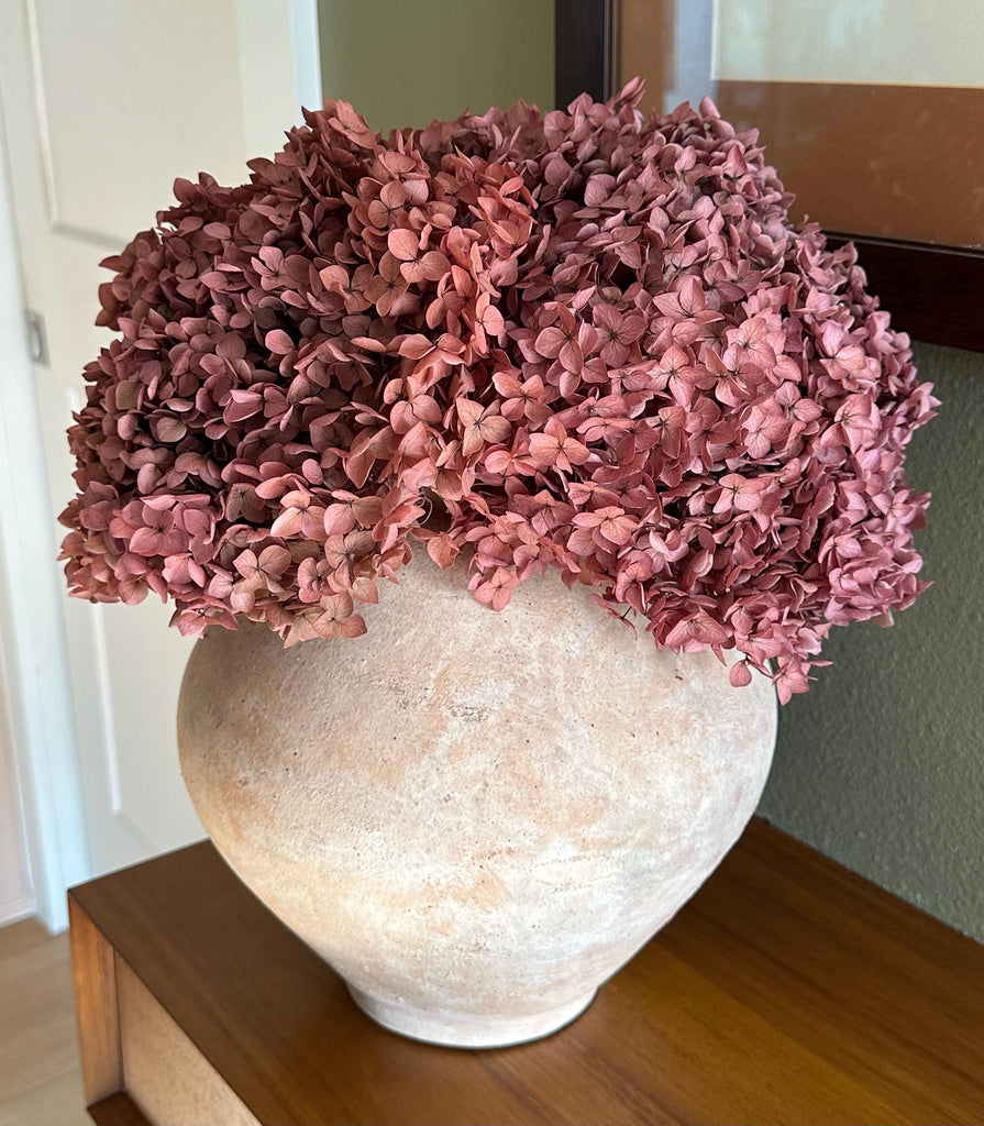Real Hydrangea Preserved- Large Desert Rose