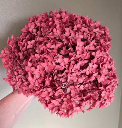 Real Hydrangea Preserved- Large Rose
