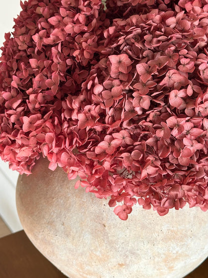 Real Hydrangea Preserved- Large Rose