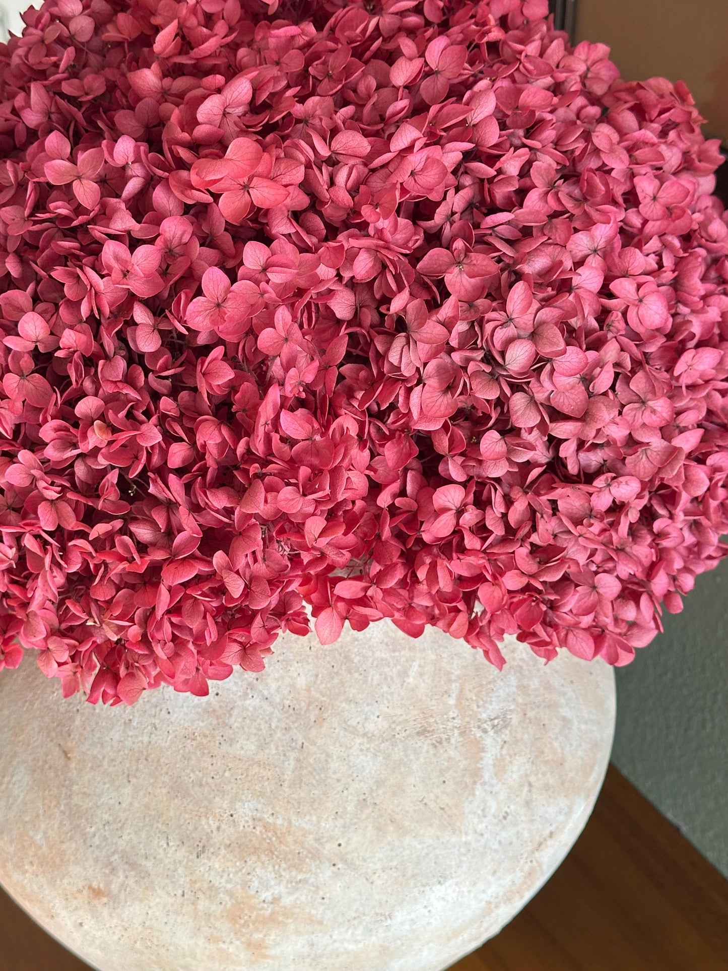 Real Hydrangea Preserved- Large Fuchsia Rose