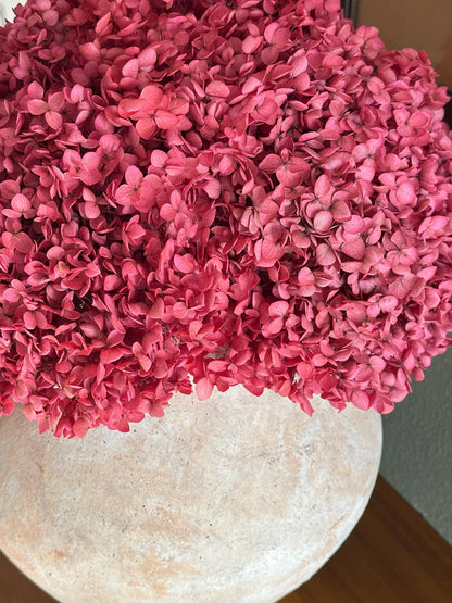 Real Hydrangea Preserved- Large Fuchsia Rose
