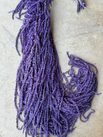 Hanging Amaranthus - Purple