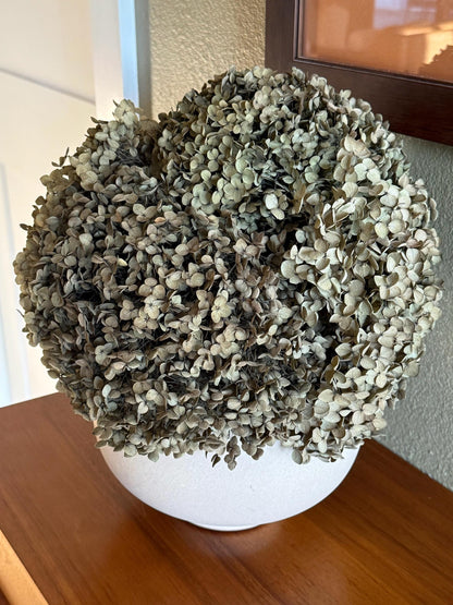 Real Hydrangea Preserved - Medium Olive Green Ombré