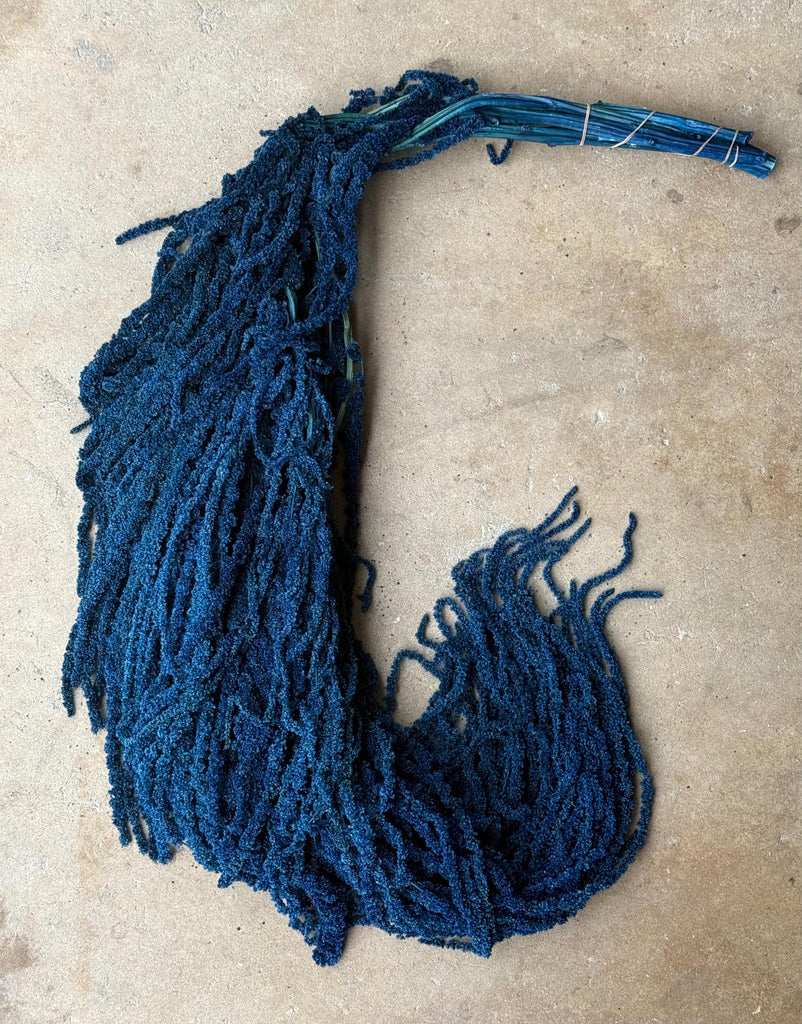 Hanging Amaranthus - Blue