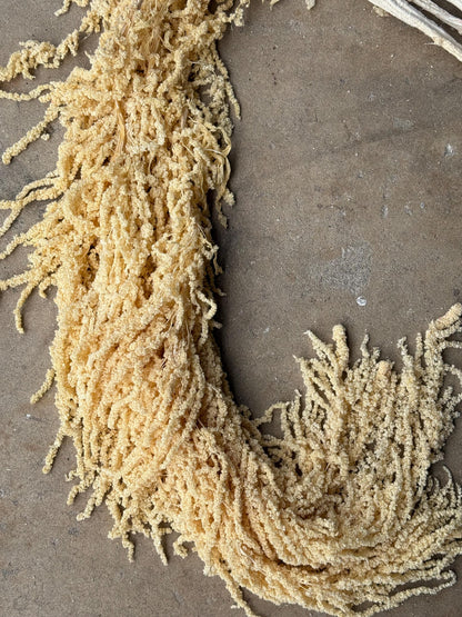Hanging Amaranthus - Yellow
