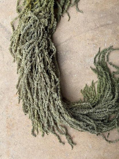 Hanging Amaranthus - Light Green Grass
