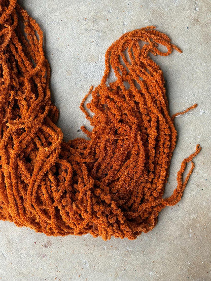 Hanging Amaranthus - Burnt Orange