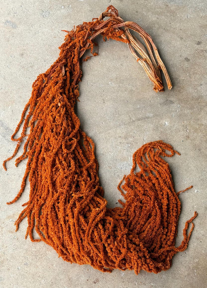 Hanging Amaranthus - Burnt Orange