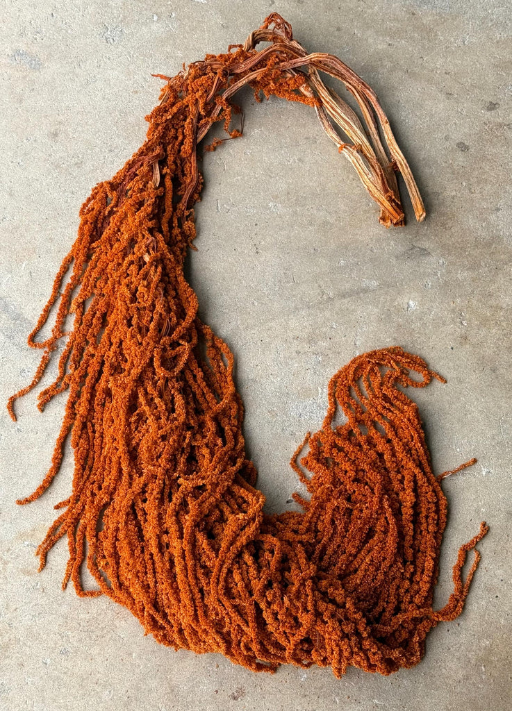 Hanging Amaranthus - Burnt Orange