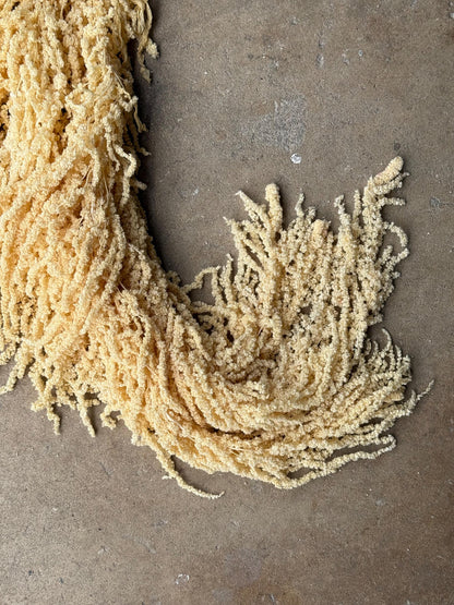 Hanging Amaranthus - Yellow
